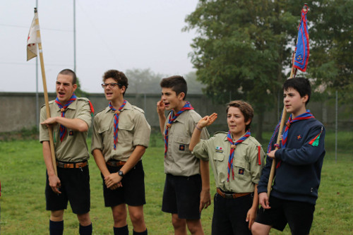 Scout persiceto